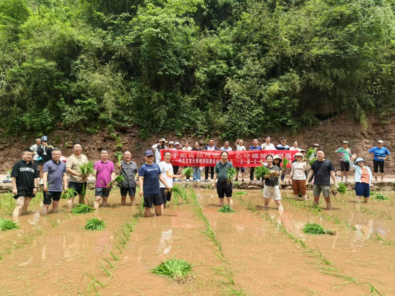 MK体育官网
