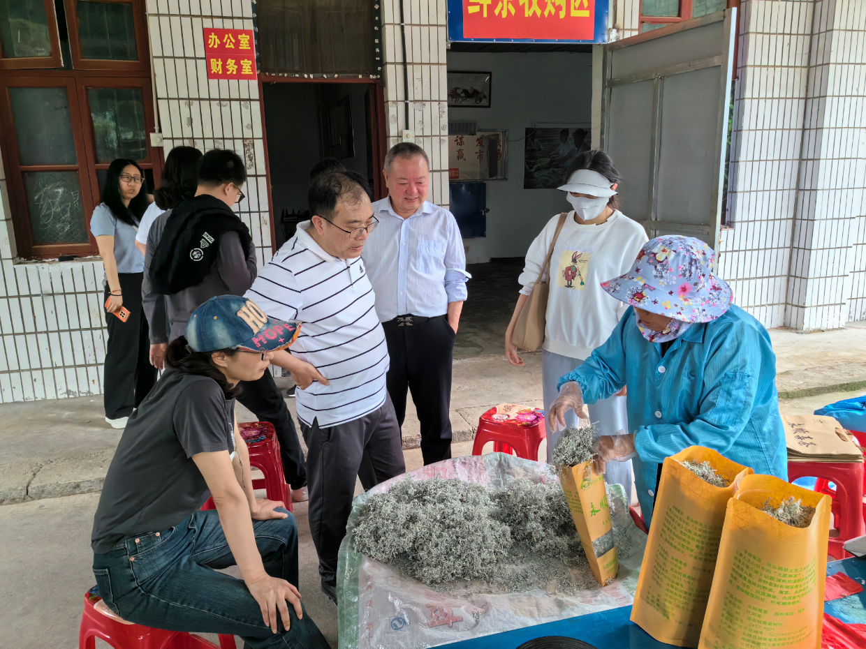 MK体育官网