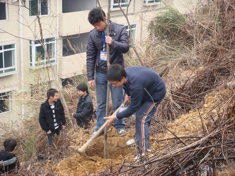 MK体育官网