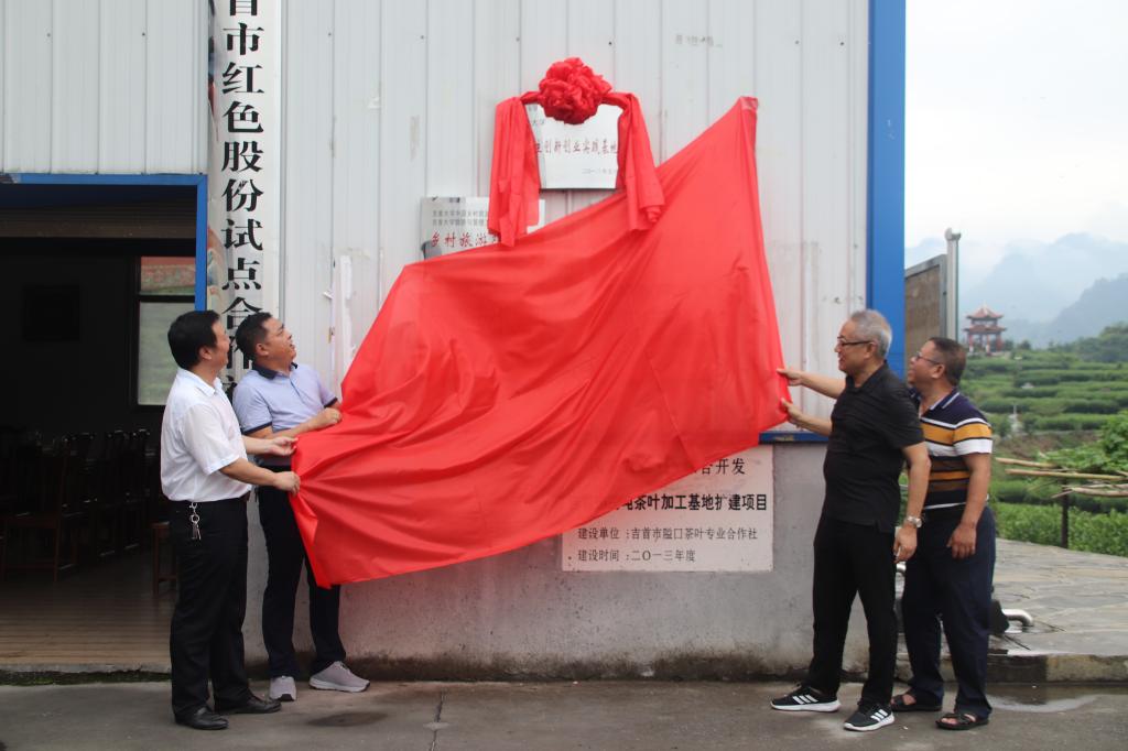 MK体育官网