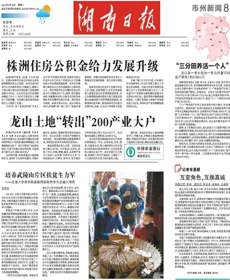 MK体育官网